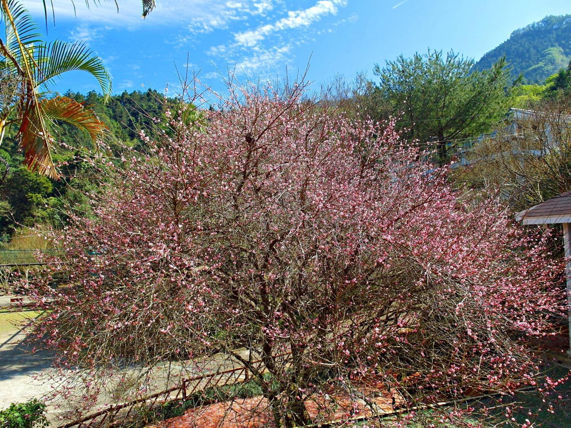 Li Jin Kuan Homestay Наньчжуан Экстерьер фото